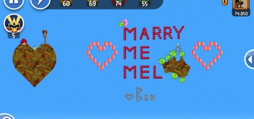 Angry Birds Marry 1