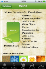 IMG_0985 IMG 0985 160x240 MacetoHuerto: Cultiva tu propio huerto