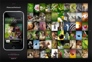 blog-a00-display blog-a00-display