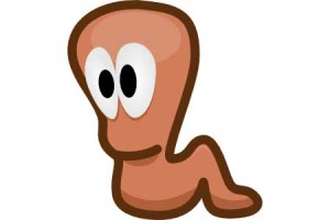 gusano