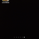 iOS 6 23