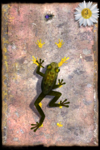 img_0421 img 0421 200x300 Ancient Frog